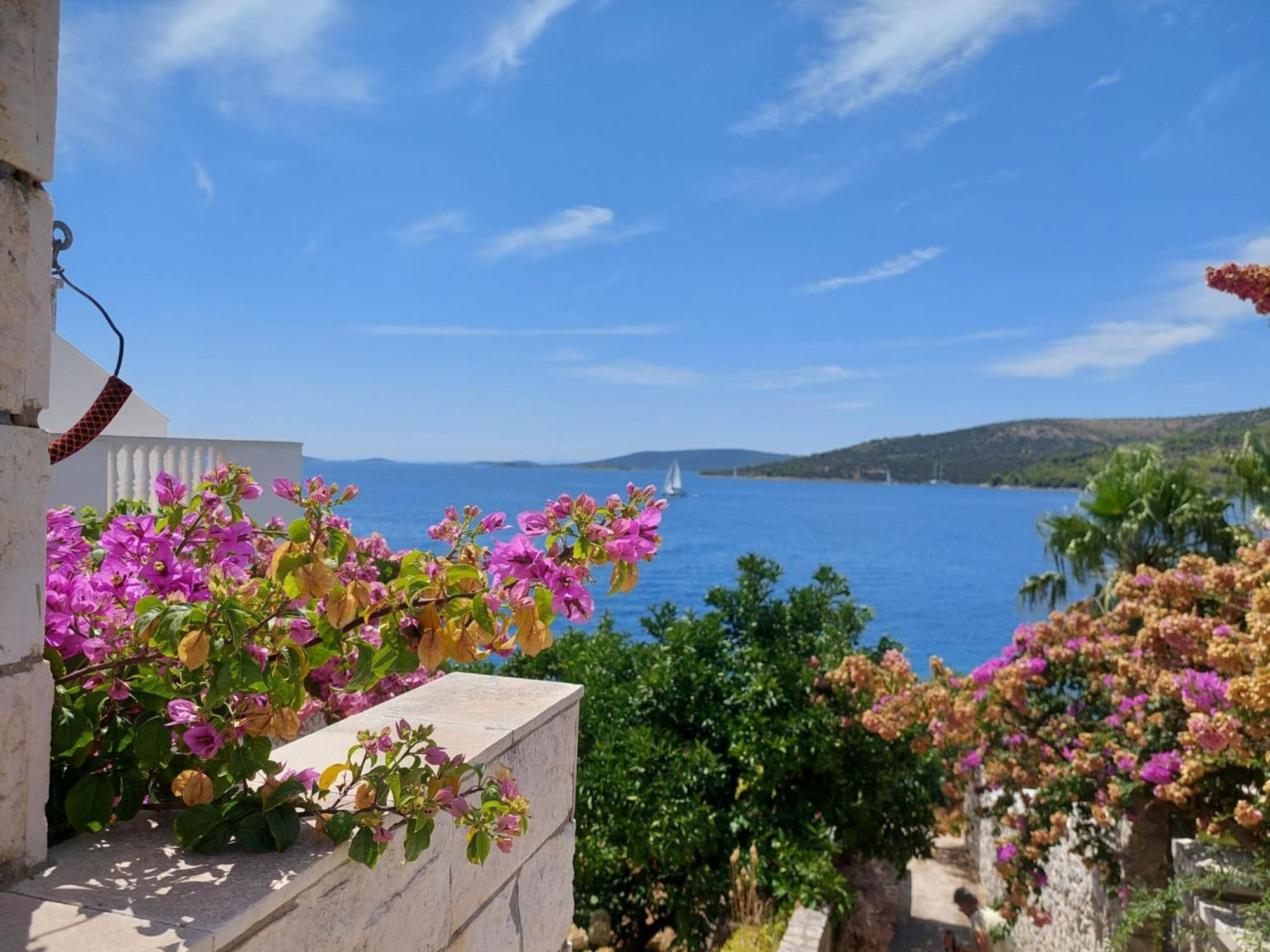 Villa Apartments Oliva Seget Vranjica Luaran gambar